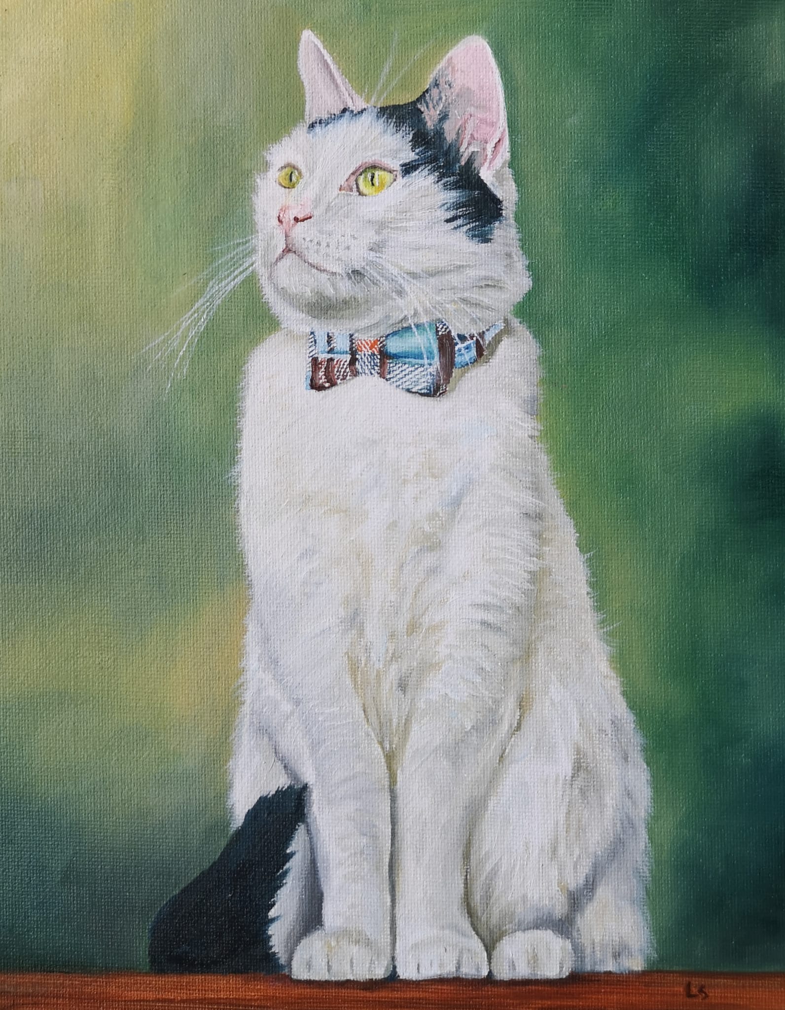 cat