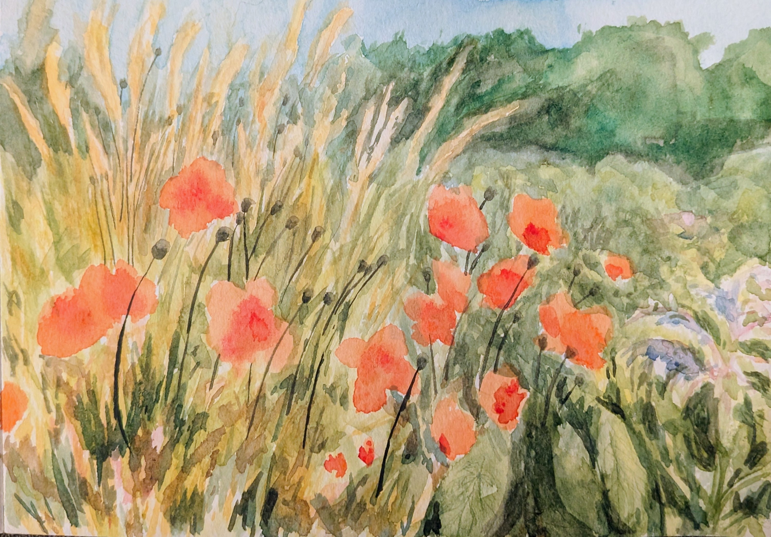 Poppies in a wildflower meadow painting 