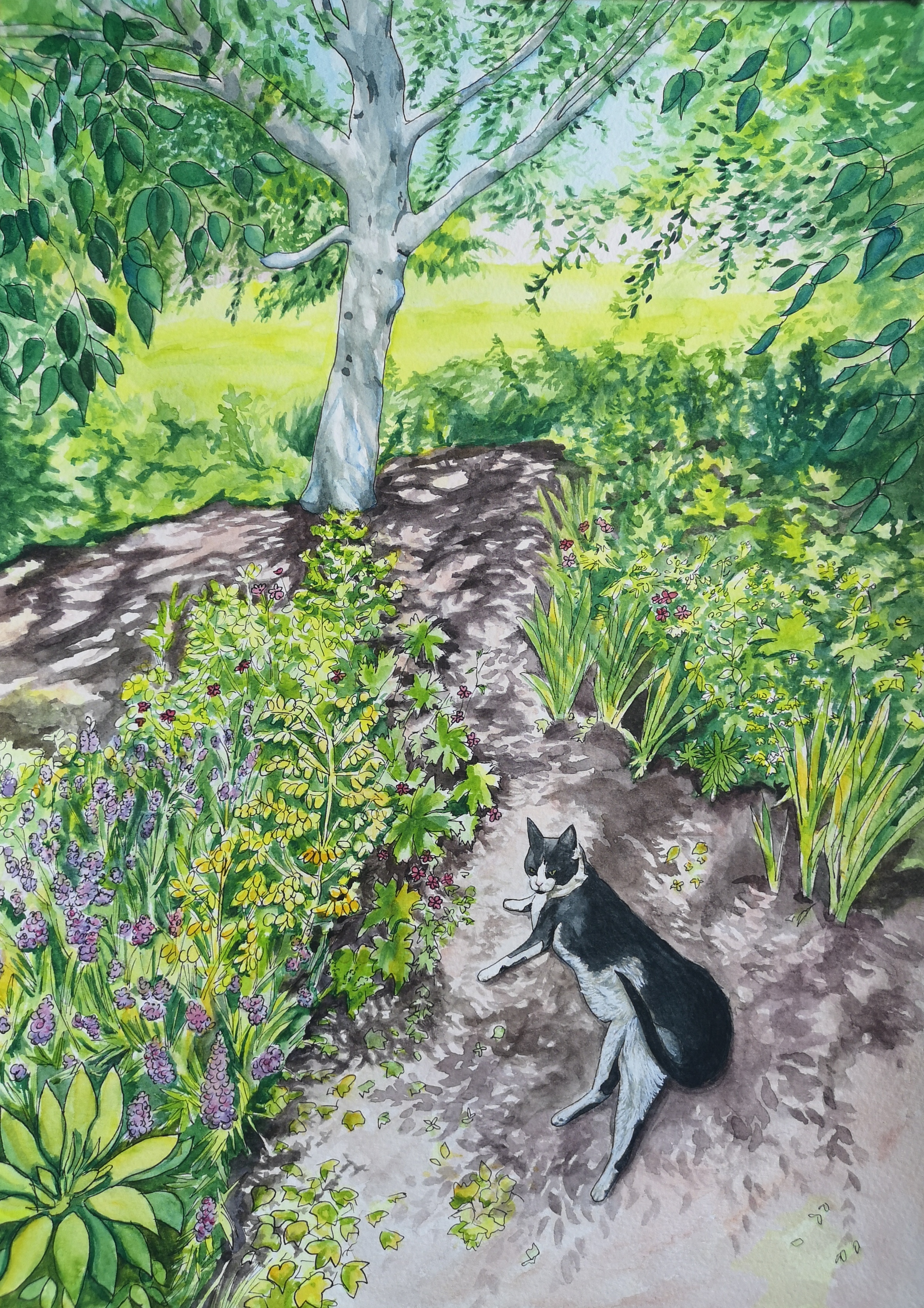 An Afternoon with Darla the cat painting 
