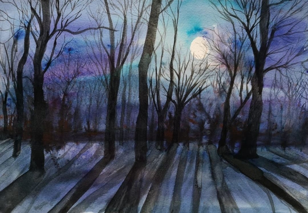 night forest